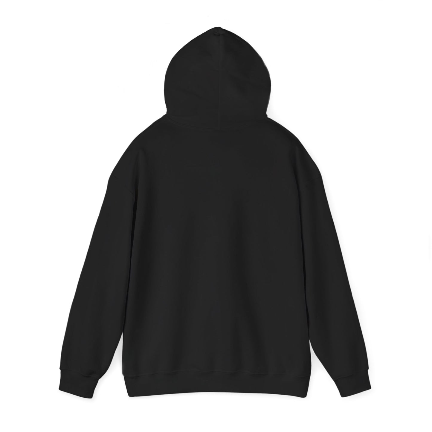 introvert raccoon hoodie | Feral Era chaotic cute vintage mascot
