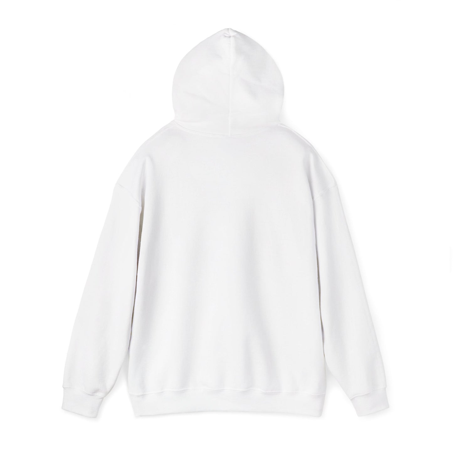 introvert raccoon hoodie | Feral Era chaotic cute vintage mascot