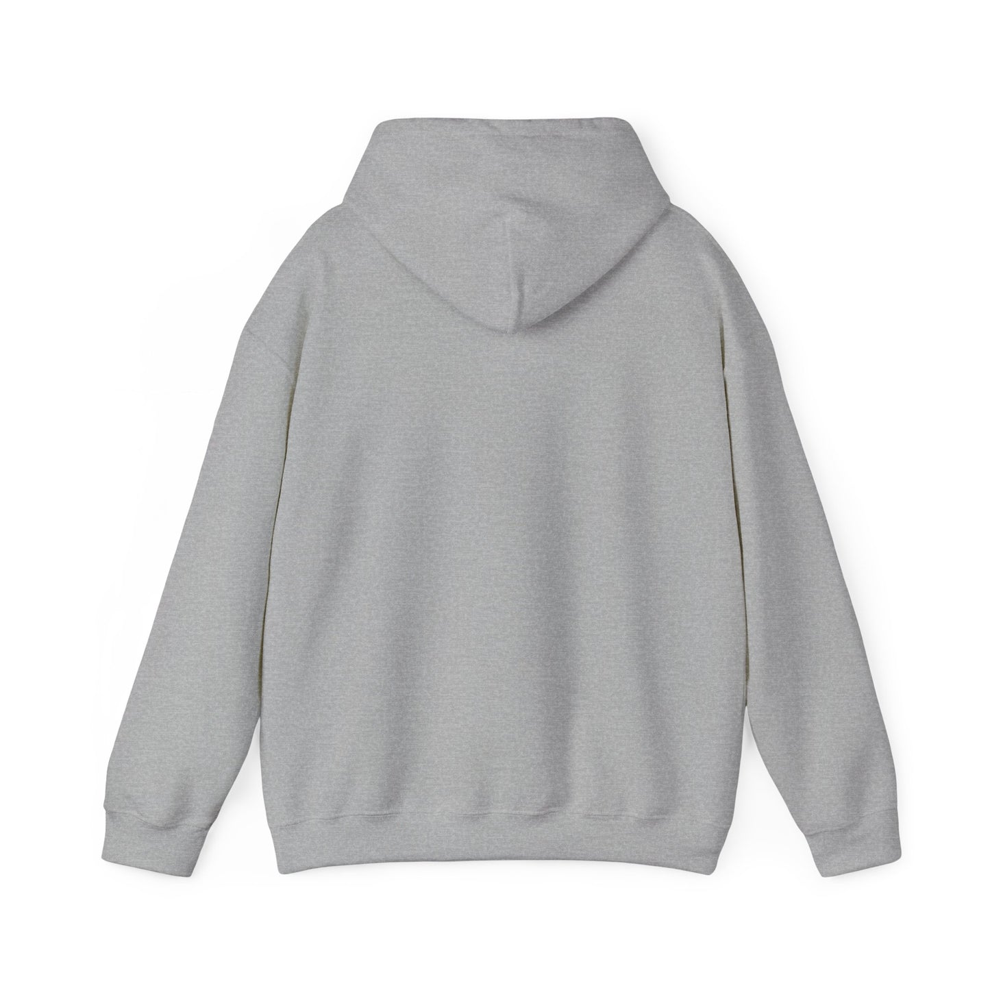 introvert raccoon hoodie | Feral Era chaotic cute vintage mascot